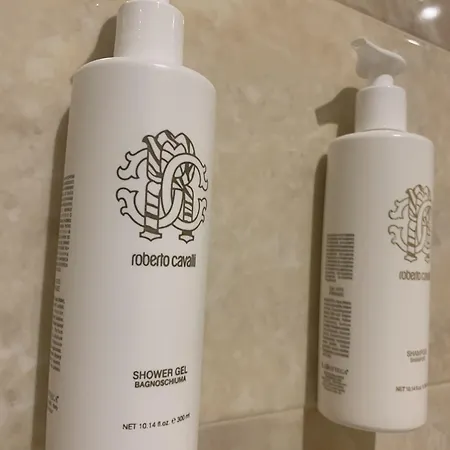 Giotto & 4* أسيسي