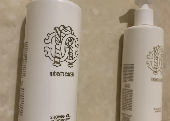 ジオット ホテル&スパ 4* アッシジ